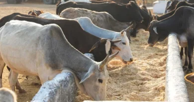 बुरहानपुर जिले में बायो रिसोर्स सेंटर स्थापित करने हेतु आवेदन आमंत्रित