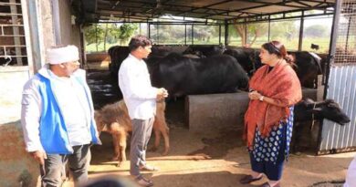 कलेक्टर ने किया पशुपालक से सीधा संवाद