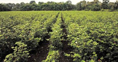 उद्यान विभाग में वाहन हेतु 8 दिसंबर तक ऑफलाइन निविदाएं आमंत्रित