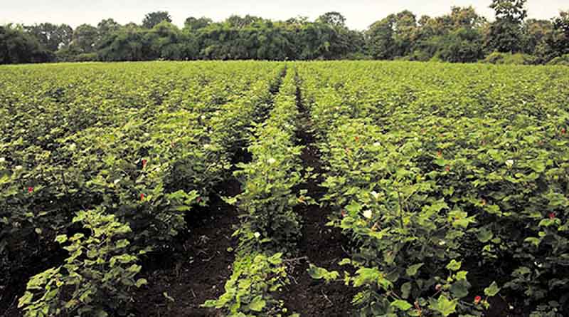 उद्यान विभाग में वाहन हेतु 8 दिसंबर तक ऑफलाइन निविदाएं आमंत्रित