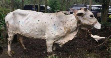 मध्यप्रदेश: लम्‍पी वायरस के संबंध में पशुपालन विभाग के कॉल सेंटर पर दें सूचना