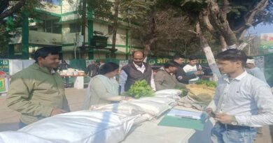 जैविक उत्पाद खरीदने हाट में पहुंच रहे हैं शहरवासी