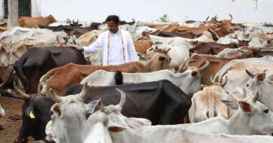 विकसित भारत का कृषि मॉडल: गौ-आधारित प्राकृतिक खेती और स्वस्थ जीवन