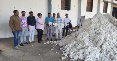 पांढुर्ना में सीसीआई द्वारा कपास की खरीदी प्रारम्भ