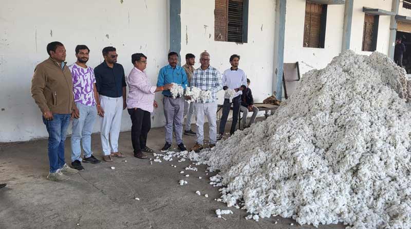 पांढुर्ना में सीसीआई द्वारा कपास की खरीदी प्रारम्भ