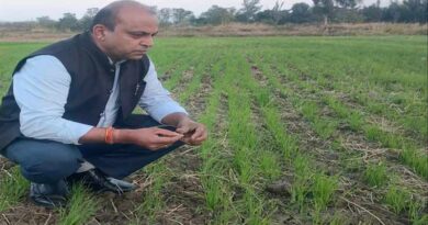 केवीके सिवनी की रबी फसलों हेतु सामयिक सलाह