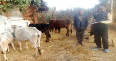 शहडोल जिले में घर-घर पशुपालकों से किया जा रहा सम्पर्क