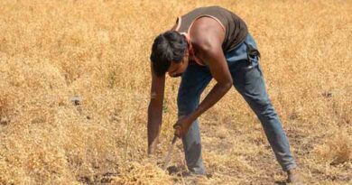 बिहार सरकार ने किसानों की आय बढ़ाने के लिए दो अहम योजनाओं की शुरुआत की