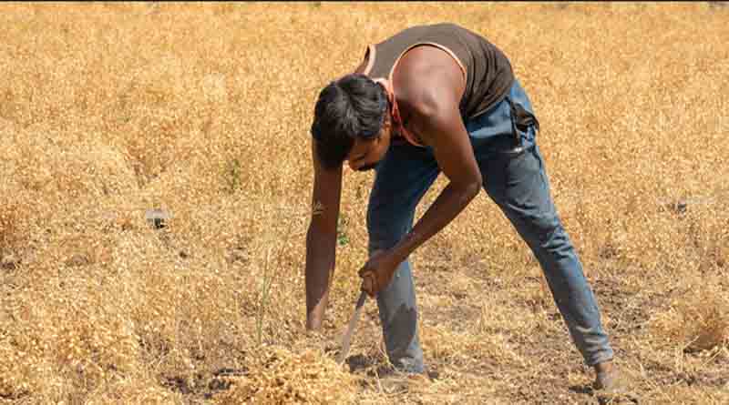 बिहार सरकार ने किसानों की आय बढ़ाने के लिए दो अहम योजनाओं की शुरुआत की