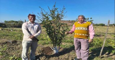 विदिशा जिले में सेवफल की खेती की दिशा में एक नई शुरुआत