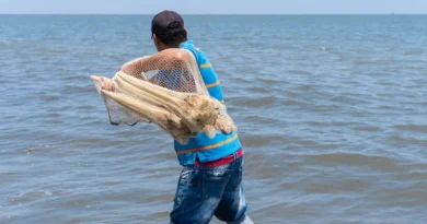 मछुआरों की कमाई बढ़ाने की पहल, बिहार सरकार दे रही नाव-जाल खरीद पर 90% सब्सिडी; जानें पूरी डिटेल