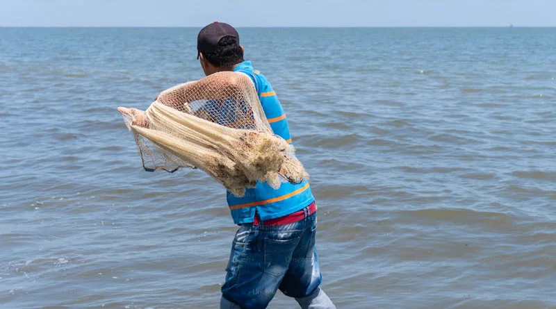 मछुआ समृद्धि योजना: स्मार्ट फिश पार्लर पर मिलेगी 90% तक सब्सिडी, तुरंत करें आवेदन