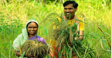 ग्वालियर: कम्बोज कृषि सेवा केन्द्र पर औचक निरीक्षण, नियमों का उल्लंघन पाए जाने पर लाइसेंस रद्द  