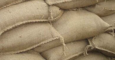 रबी विपणन मौसम 2025–26: सरकार ने 310 लाख मीट्रिक टन की खरीद की, किसानों को एमएसपी के तहत ₹79,267 करोड़ का भुगतान