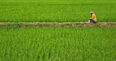 RPSC कृषि विभाग भर्ती परीक्षा-2024: आयोग ने जारी की आंसर की, अभ्यर्थी 10 दिसंबर से ऑनलाइन दर्ज करा सकेंगे आपत्ति