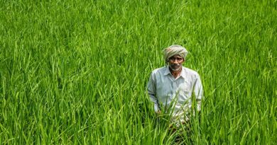 खेती होगी सस्ती और आसान: अब किराए पर मिलेंगे  ट्रैक्टर, थ्रेसर, रोटावेटर सहित सभी जरूरी कृषि यंत्र    