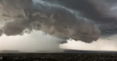 मौसम विभाग की चेतावनी: दलहनी-तिलहनी व सब्जी फसलों पर पाले का खतरा, बचाव के लिए तुरंत करें ये काम  