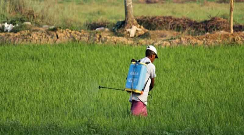 किसान कॉल सेंटर: अन्नदाताओं का डिजिटल सहारा, अब घर बैठे पाएं मौसम, बाजार और खेती की पूरी जानकारी