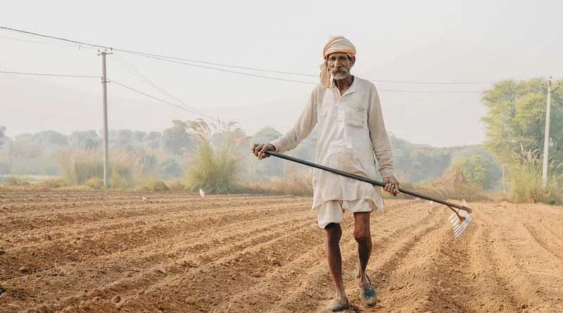 IARI: पछेती गेहूँ बो रहे हैं? ये गलतियाँ बिलकुल न करें