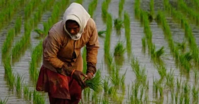 प्राकृतिक खेती को मिलेगा MSP और बीमा में दोगुना लाभ, सांसद दर्शन सिंह ने लोकसभा में प्राकृतिक कृषि विधेयक किया पेश