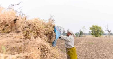 किसानों के लिए Farmer ID और खसरा लिंकिंग अनिवार्य, MSP खरीदी और PM-KISAN का लाभ इससे ही संभव  