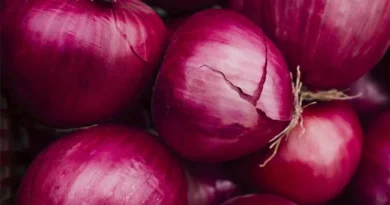 लगातार सुस्त पड़ रहा है प्याज निर्यात