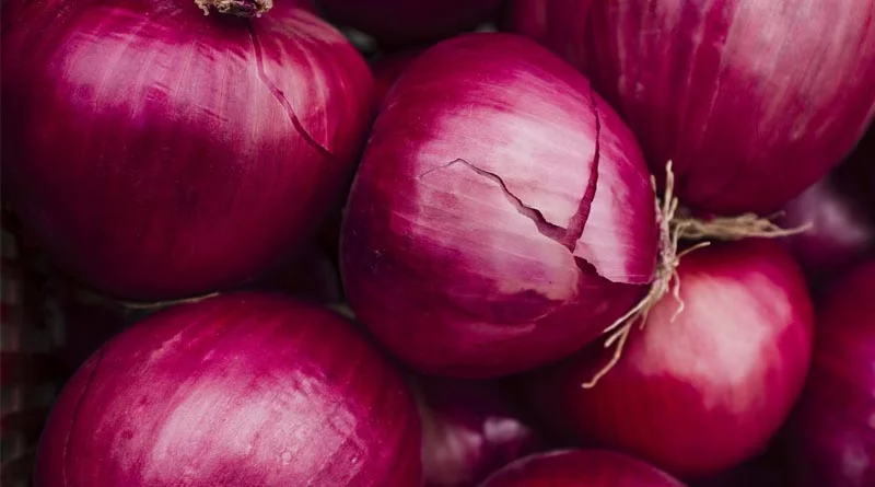 लगातार सुस्त पड़ रहा है प्याज निर्यात