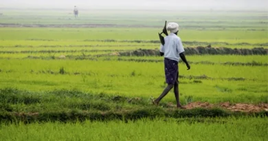 राजस्थान BBSSL सदस्यता में देश में सबसे आगे, किसानों को उपलब्ध होंगे उच्च गुणवत्ता के बीज