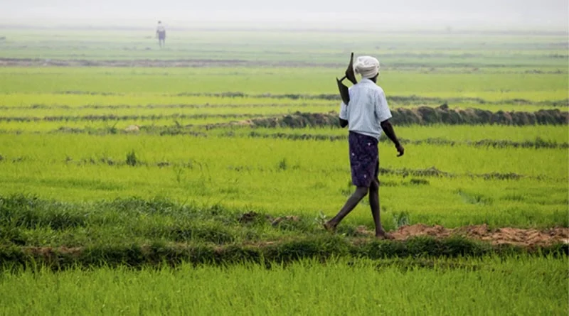 राजस्थान BBSSL सदस्यता में देश में सबसे आगे, किसानों को उपलब्ध होंगे उच्च गुणवत्ता के बीज