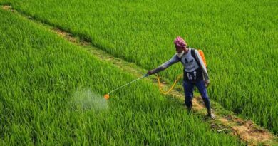 अब खाद लेने में नहीं होगी परेशानी, ई-विकास प्रणाली से वितरण आसान; हजारों किसानों को मिला लाभ
