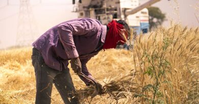 एक बीघा से एक लाख कमाने वाले किसान होंगे सम्मानित, मध्य प्रदेश सरकार लाई नई योजना
