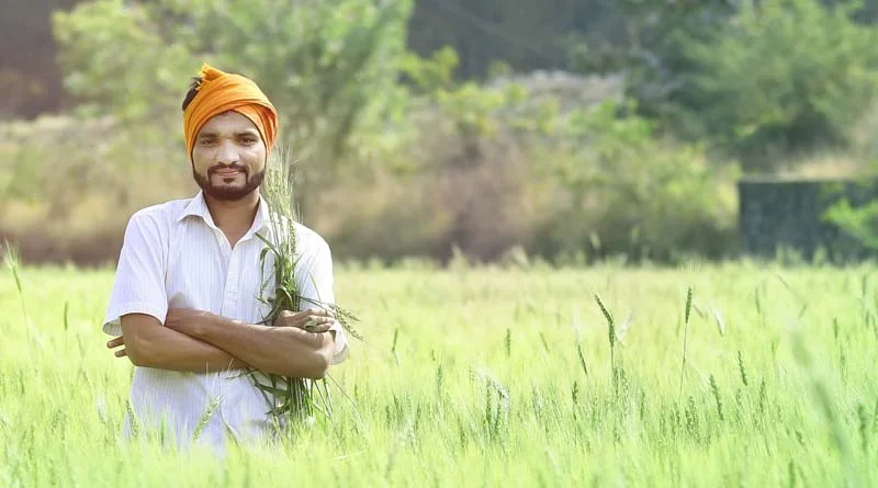एआई से बदल रही भारतीय खेती: किसान ई-मित्र, स्मार्ट तकनीक और मानसून पूर्वानुमान से फसल सुरक्षा व उत्पादन में सुधार