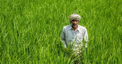 बिहार के किसानों के लिए खुशखबरी: प्लास्टिक क्रेट और फ्रूट बैग पर मिलेगी 80% तक सब्सिडी, ऐसे करें आवेदन