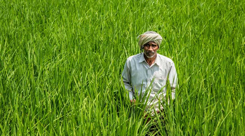 बिहार के किसानों के लिए खुशखबरी: प्लास्टिक क्रेट और फ्रूट बैग पर मिलेगी 80% तक सब्सिडी, ऐसे करें आवेदन