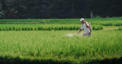 इंदौर में 12 से 14 दिसंबर तक जैविक महोत्सव का आयोजन