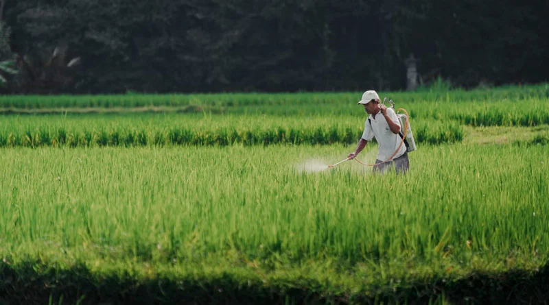 इंदौर में 12 से 14 दिसंबर तक जैविक महोत्सव का आयोजन