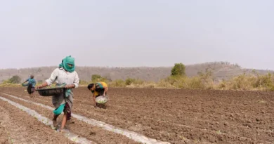 घटिया उर्वरक व खाद कालाबाजारी पर केंद्र का बड़ा एक्शन, 5,371 कंपनियों के लाइसेंस रद्द, 446 FIR दर्ज घटिया उर्वरक व खाद कालाबाजारी पर केंद्र का बड़ा एक्शन, 5,371 कंपनियों के लाइसेंस रद्द, 446 FIR दर्ज