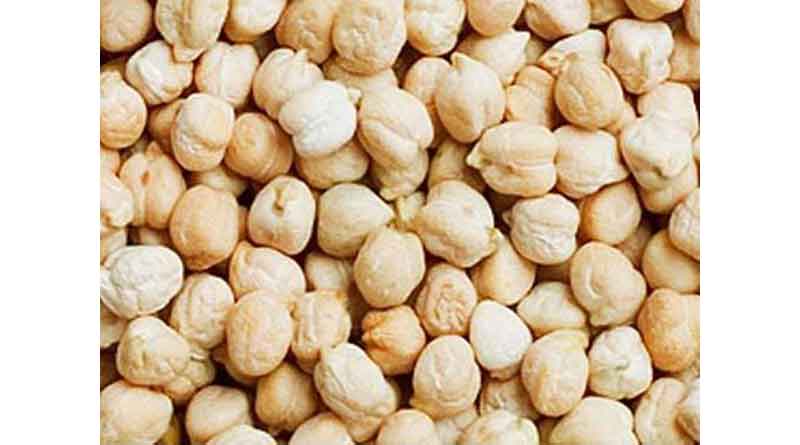 बड़वानी कलेक्टर ने कृषि प्रक्षेत्र का किया भ्रमण: प्रगतिशील किसानों से की चर्चा, डॉलर चना उत्पादन पर दिया जोर