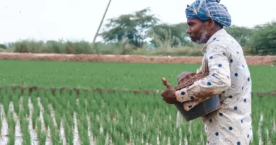 हरियाणा की नई खाद नीति: MFMV पोर्टल पर रजिस्ट्रेशन अनिवार्य, बिना पंजीयन के नहीं मिलेगी खाद