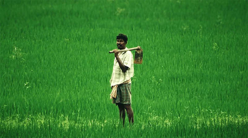 राजगढ़ में किसानों को बड़ी राहत, 283 करोड़ रुपये की फसल क्षति सहायता राशि वितरित