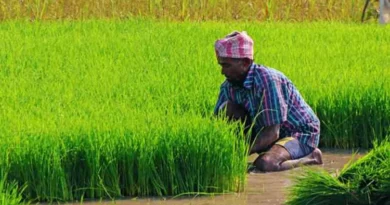 किसानों को बड़ी राहत: उत्तरप्रदेश सरकार 60% सब्सिडी पर दे रही सोलर पंप, तुरंत करें आवेदन