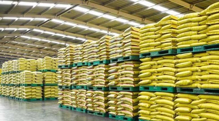 कलेक्टर के निर्देश पर बड़ी कार्रवाई: श्योपुर में 1 लाख से अधिक की अवैध यूरिया ज़ब्त, एक पर FIR दर्ज  