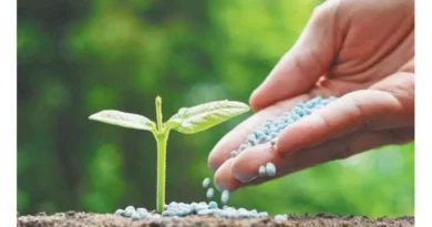 विदिशा जिले में उर्वरकों की पर्याप्त उपलब्धता