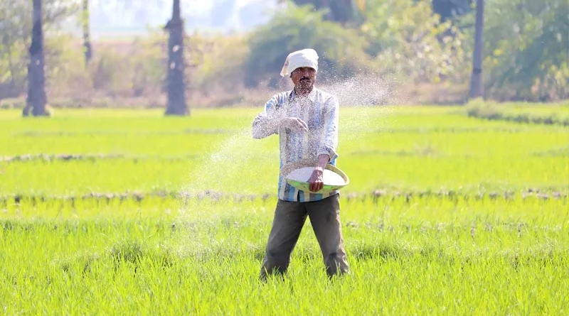 ठण्ड को देखते हुए उर्वरक वितरण के समय में किया परिवर्तन