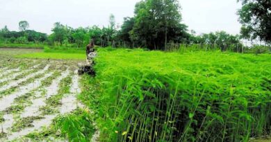 सीधी में 13 बायो इनपुट रिसोर्स सेंटर जल्द शुरू होंगे, प्राकृतिक खेती को मिलेगा बढ़ावा