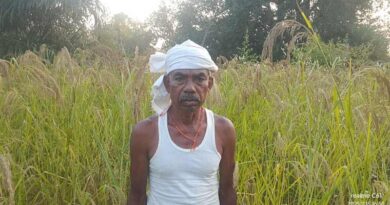 छत्तीसगढ़ : कृषक तुलसीराम ने अपनाई खेती की नई तकनीक, आमदनी और मिट्टी दोनों हुई स्वस्थ, प्रेरित हुए अन्य किसान