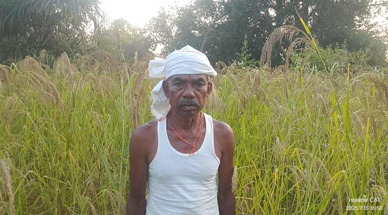 छत्तीसगढ़ : कृषक तुलसीराम ने अपनाई खेती की नई तकनीक, आमदनी और मिट्टी दोनों हुई स्वस्थ, प्रेरित हुए अन्य किसान