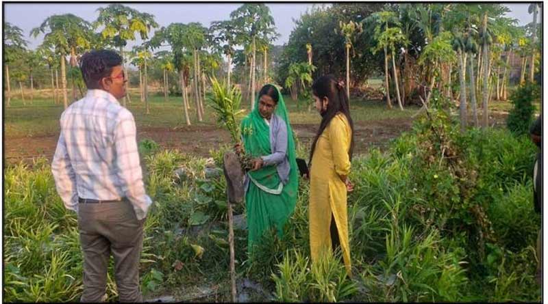 महिला किसान गीता बाई की सफलता की गाथा: जैविक खेती और मत्स्य पालन ने बदली जिंदगी, सालाना कमा रही 7–8 लाख रुपए