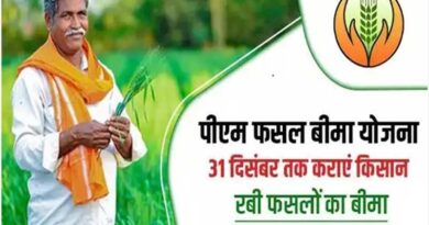 रायपुर : रबी फसलों के लिए फसल बीमा पोर्टल चालू, 31 दिसंबर तक कराएं पंजीकरण