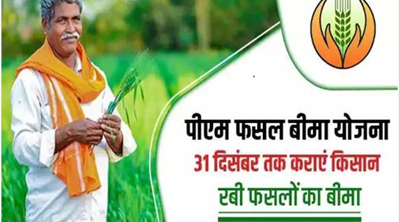 रायपुर : रबी फसलों के लिए फसल बीमा पोर्टल चालू, 31 दिसंबर तक कराएं पंजीकरण